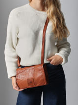 Cross Body Tas Heritage Leder Biba Bruin heritage BT33-vue-porte