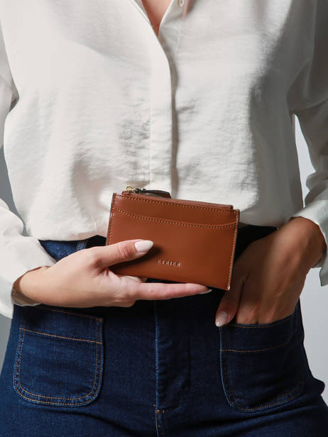 Kaarthouder Altair Leder Etrier Bruin altair EALA094M ander zicht 1