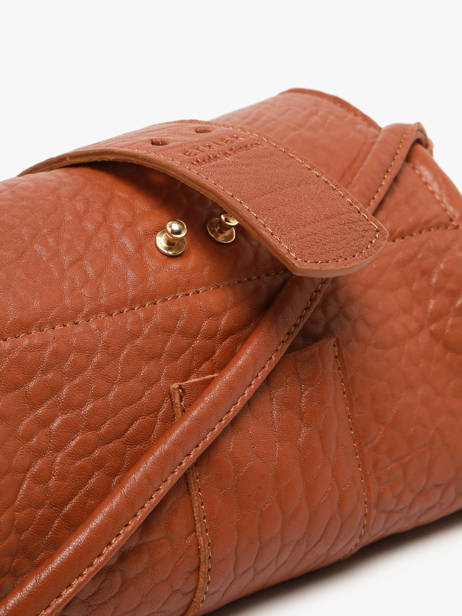 Cross Body Tas M Agnes Leder Etrier Bruin agnes EAGC205M ander zicht 7
